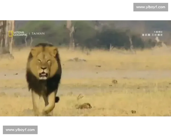 雄狮啸橙军:德佩的豪门失意与传奇加冕